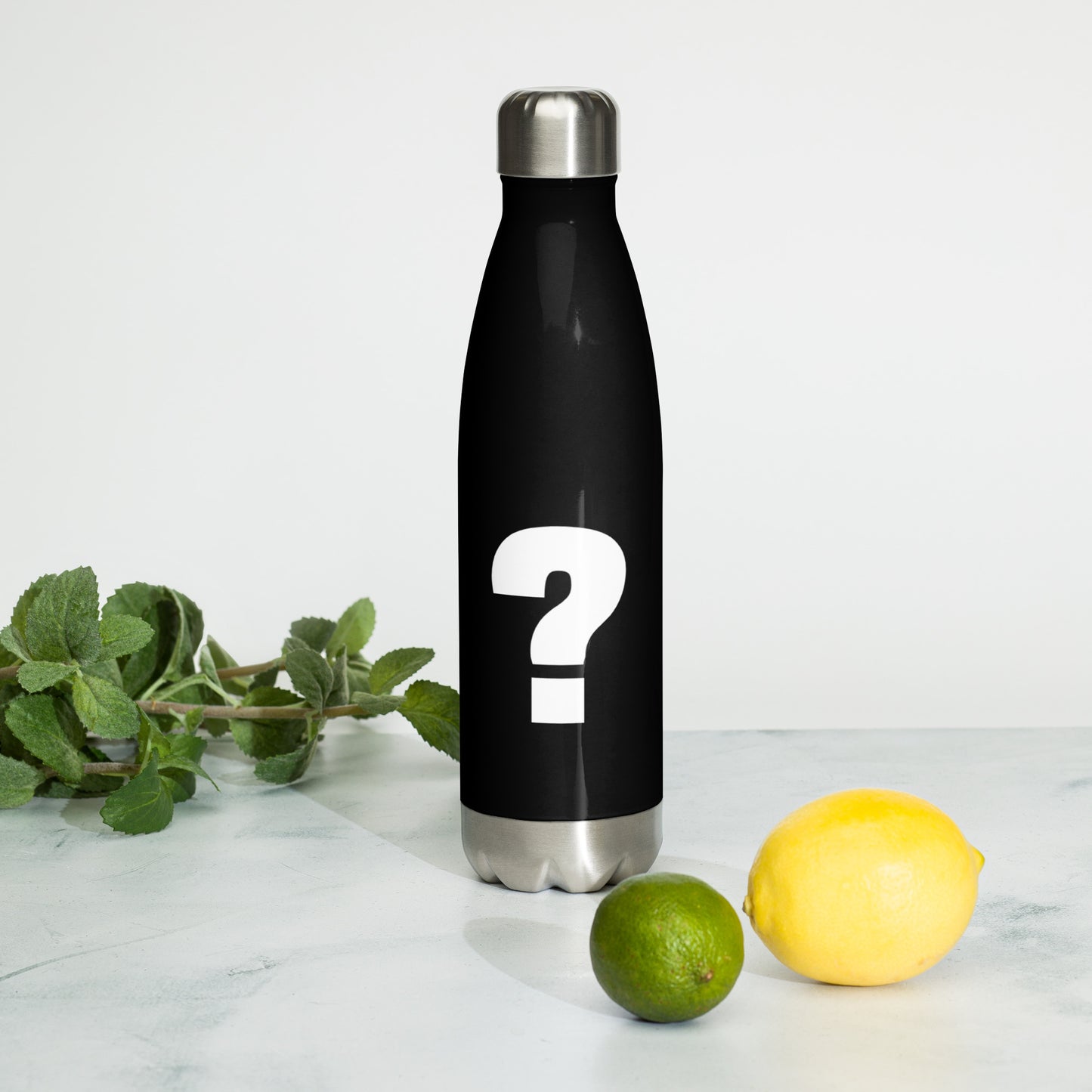 Mystery Stainless Steel Water Bottle