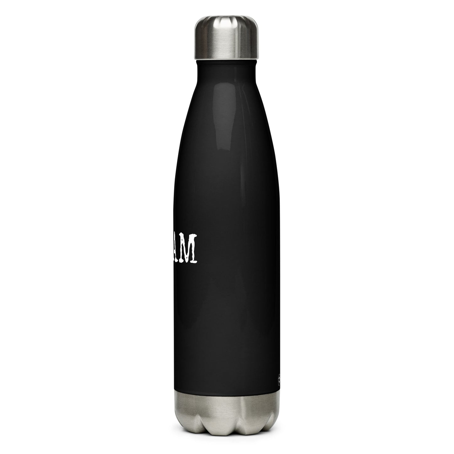 Team Jesus Stainless Steel Water Bottle